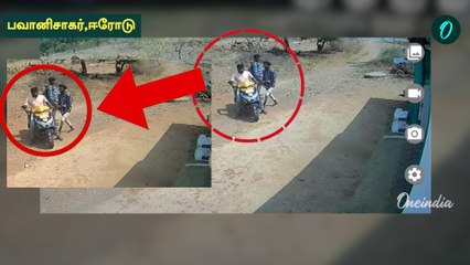 பட்டபகலில் ஆடு திருடும் மர்ம நபர்கள் | Goat theft Video | Oneindia Tamil
