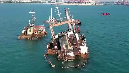 Türkiye'nin yapay resiflerinden müjdeli haber