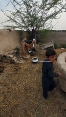 Village life |Village daily work |vlog