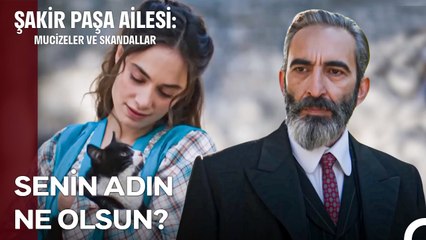 Erkek Kedinin Adı Rozali Olamaz... - Şakir Paşa Ailesi; Mucizeler ve Skandallar