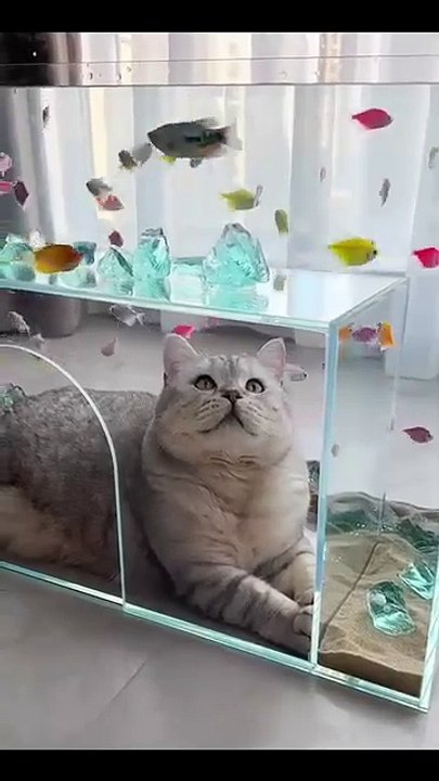 Hund macht lustige Geräusche! 20250210