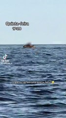 Casal é flagrado fazendo em ato proibido em jet ski e imagens polêmicas viralizam na web