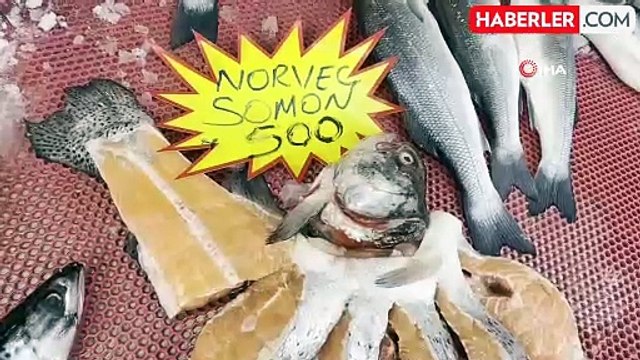 Hamsi Sevenler İçin Kötü Haber: Tezgahlarda Hamsi Yok