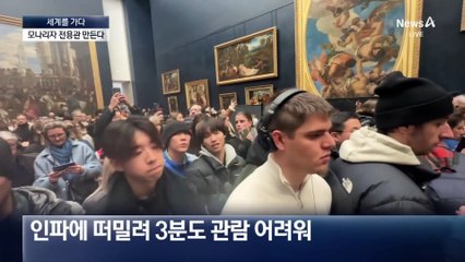 [세계를 가다]프랑스의 모나리자 사랑…전용관에 특별대우