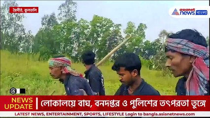 মৈপীঠে বাঘ তাড়াতে গিয়ে বনকর্মীর মাথা কামড়ে ধরল বাঘ