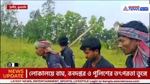 মৈপীঠে বাঘ তাড়াতে গিয়ে বনকর্মীর মাথা কামড়ে ধরল বাঘ