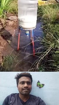 🤔உரம் தண்ணில விடலாம்மா⁉️ | Fertilizer Applying Trick💥 #trending #fertilizer #apply #tips #yt #shorts