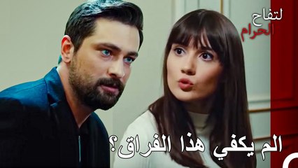 العشاء الذي جمع علي وزينب معا - التفاح الحرام الحلقة ال 98