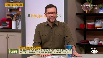 Gato fica preso em muro e desce com ajuda de cadeira | Melhor da Tarde