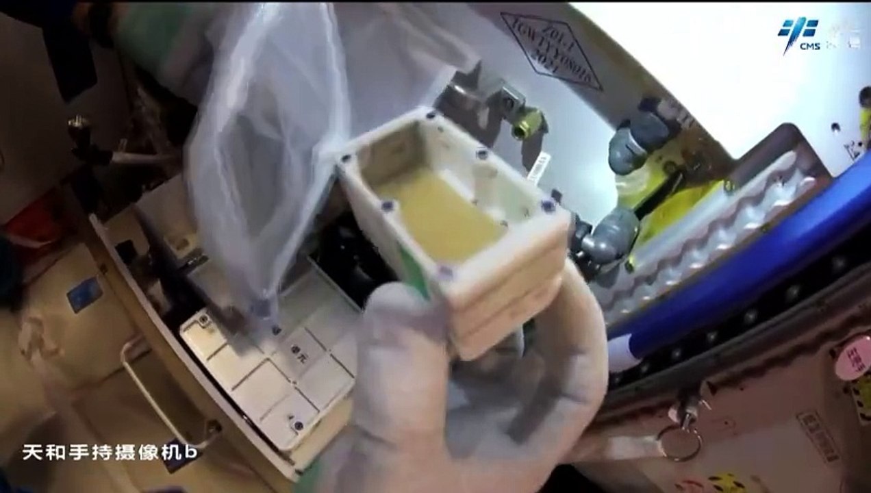 Fruit Flies In Space - Chinese Astronauts Show Experiment On Tiangong Station