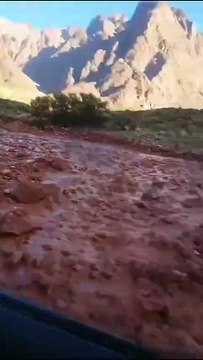 Zona Cortaderas km 1178