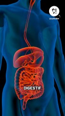 Doit-on manger la croûte du fromage ?