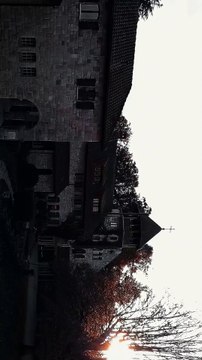 Super Car Racing Fever NASCAR and F1! 🚗