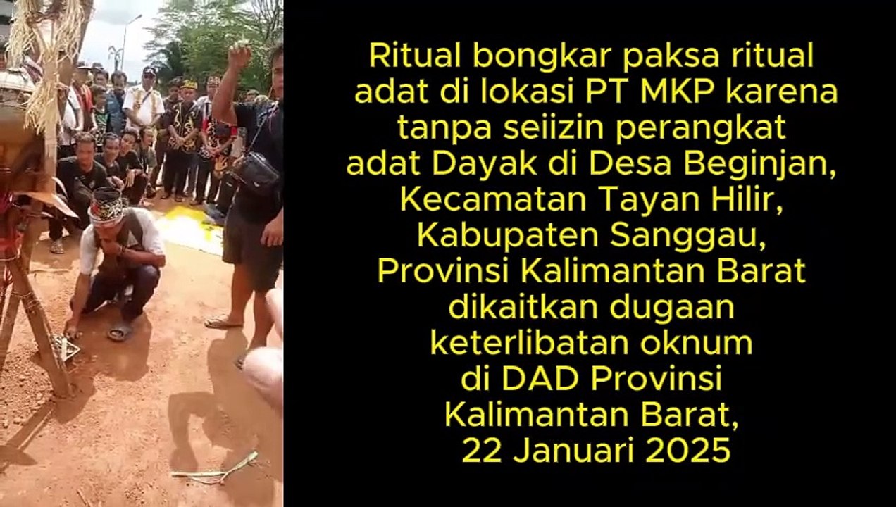 PT MKP dikaitkan patut diduga oknum Dewan Adat Dayak Provinsi Kalimantan Barat, dihukum adat dua kali karena lakukan pemasangan perangkat adat tanpa sepengetahuan komunitas adat Dayak di Desa Beginjan, Kecamatan Tayan Hilir, Kabupaten Sanggau