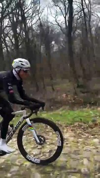 Tadej Pogacar en repérage sur la mythique trouée d'Arenberg - Cyclisme - Paris-Roubaix
