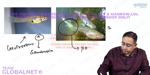 93. Mosquito control measures and Insecticides