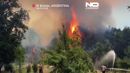 Wildfires devastate Patagonia's forests, threatening El Bolsón