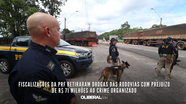 Fiscalizações da PRF retiraram drogas das rodovias com prejuízo de R$ 71 milhões ao crime organizado