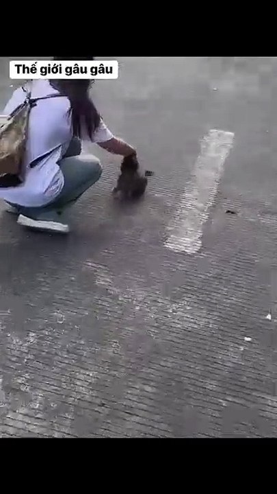 Every time I see a puppy 🥰