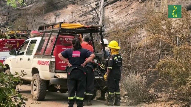 Incendios forestales en la Patagonia argentina afectan decenas de miles de hectáreas