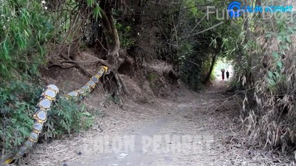 Best Funny Videos 🤣 - People Being Idiots _ 🤣 Try Not To Laugh - #25