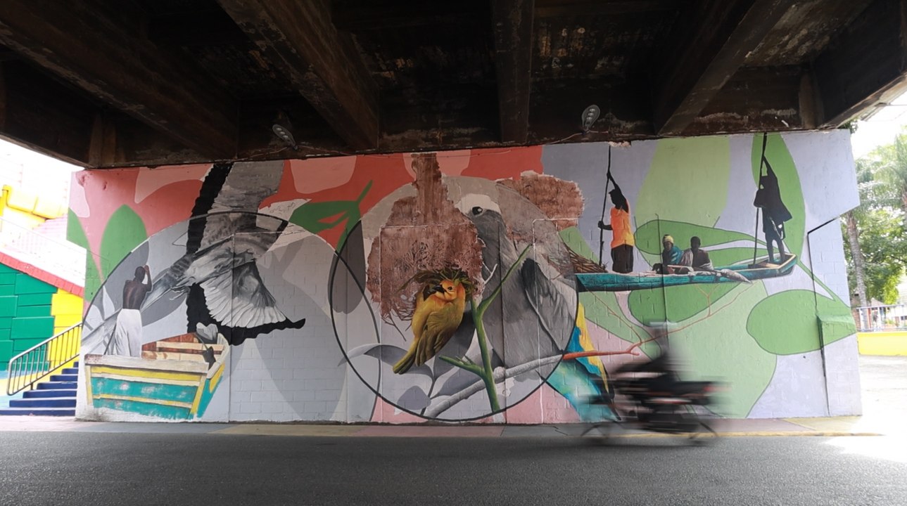 Alcaldía de Santo Domingo Este elimina el peligro debajo de los puentes y los embellece con luces y colores