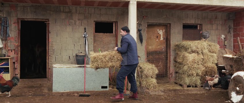 E pse babi tringes po vjen e babi jem spo vjen kurre