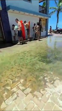 Descaso na Praia da Joaquina, em Florianópolis