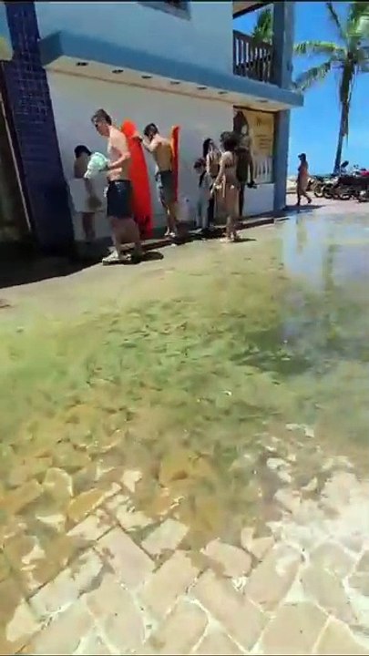 Descaso na Praia da Joaquina, em Florianópolis