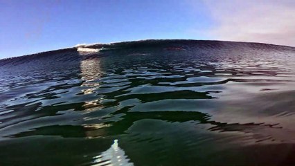 Dolphins Leap Through Waves in Perfect Sunlit Moment
