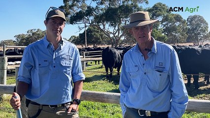 Stock Journal Beef Week day four, 2025