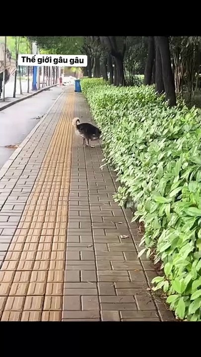 Try your best, life will not give up on anyone ❤️