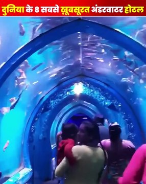 दुनिया के 8 सबसे ख़ूबसूरत अंडरवाटर होटल #hotel #world #fact #reelsfb #facts #reels #viral #fac #most #biggest #thing #Amazing #fact #हिंदीतथ्य #viralvideo #top #instagram #factsoflife #reels #instagood #breakingnews #viral #food #asmr #fyp #instadaily #