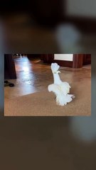 He's just feeding the void