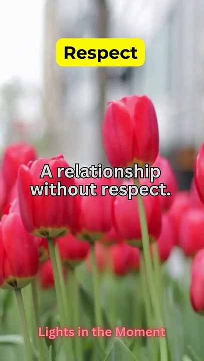 "Respect – The Bridge to Understanding"