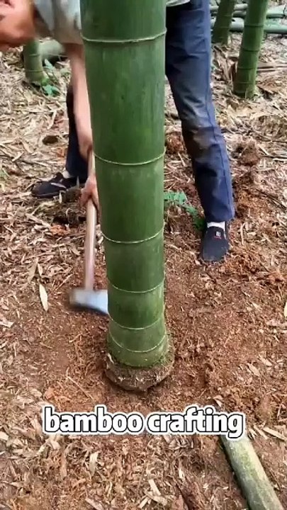 bamboo crafting