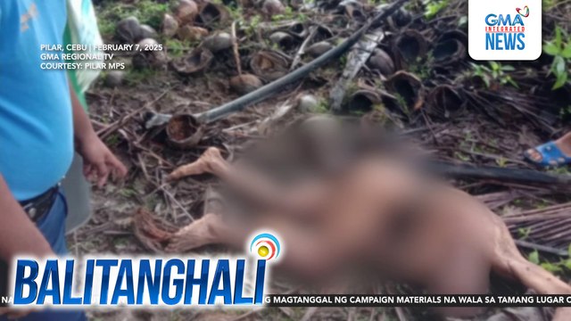 70-anyos na lalaki, patay matapos umanong atakihin ng kalabaw | Balitanghali