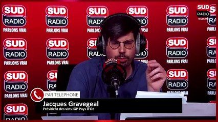 Taxe américaine sur le vin : "Donald Trump doit revenir à la raison"