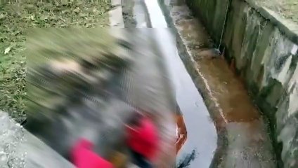 住宅区放生大蟒蛇引发居民担忧 🐍