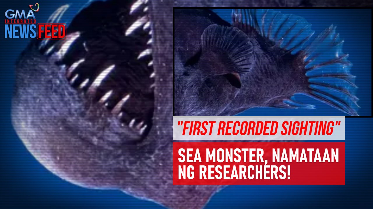 ‘First recorded sighting’ – Sea monster, namataan ng researchers! | GMA Integrated Newsfeed