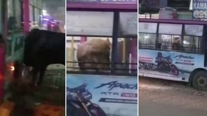 Video viral inside a bus in Sikar Jaipur Highway