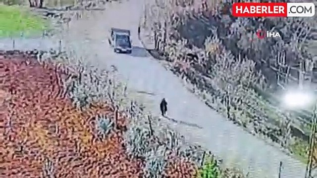 Kuduz köpek 3 kişiyi ısırdı, bölge karantinaya alındı