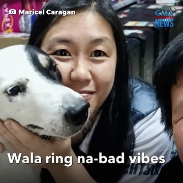 Meeting sa opisina, binulabog ni Berto | GMA Integrated Newsfeed