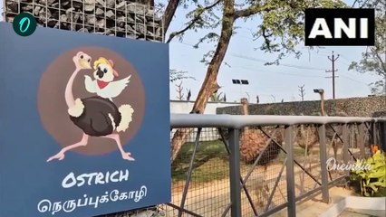 Trichy-யில் Birds Park-ஐ திறந்து வைத்தார் Udhayanidhi Stalin | Oneindia Tamil