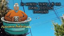 Los horneros - Lindos detalles de una tarde de Domingo - Tacuarembó (22/12/2024)