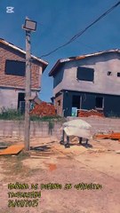 Domingo en la obra -  COVISOLTAC - Tacuarembó (26/01/2025)