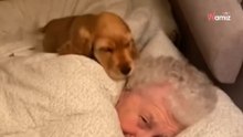 Welpe kuschelt mit Frauchens Oma: Video begeistert Hundefans weltweit.