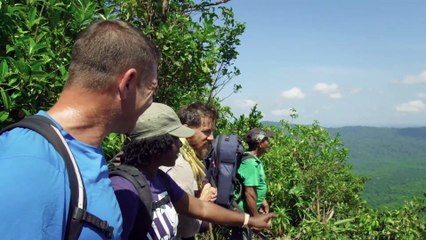 Steve Backshall: avventure intorno al mondo (Sud America)