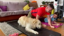 Herrchen macht anstrengenden Sport: Sein Golden Retriever bringt dabei alle zum Lachen (Video)