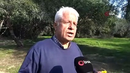 Beton borunun ayakları denizin altında balıkların yaşam alanı oldu